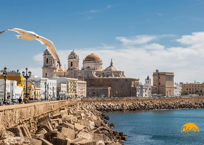 Apartment Corralon De Carros By Time *