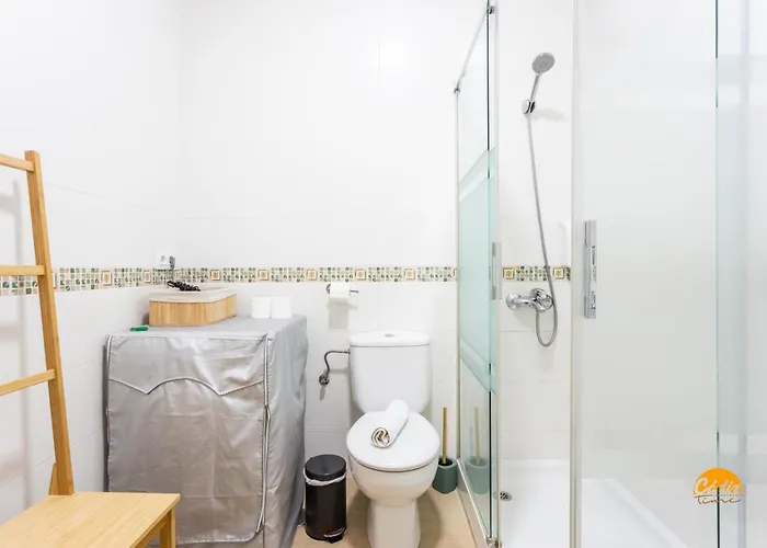 Corralon De Carros By Time